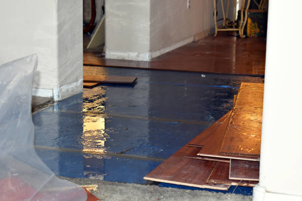 Professional Water Damage Restoration technician working in Watertown, MA